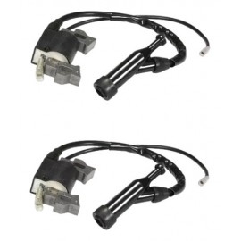 2 Bobinas Para Motor Honda Gx160 5.5hp 6.5hp Motobomba