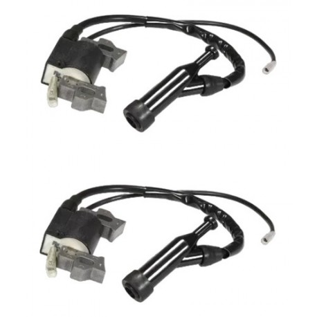 2 Bobinas Para Motor Honda Gx160 5.5hp 6.5hp Motobomba