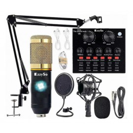 Micrófono De Condensador Bm800 V8 Kit Tarjeta De Sonido Vivo Color Dorado